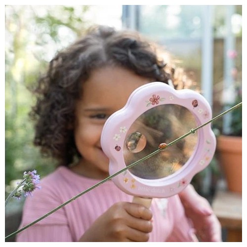 LUPA FAIRY GARDEN FSC ROSA