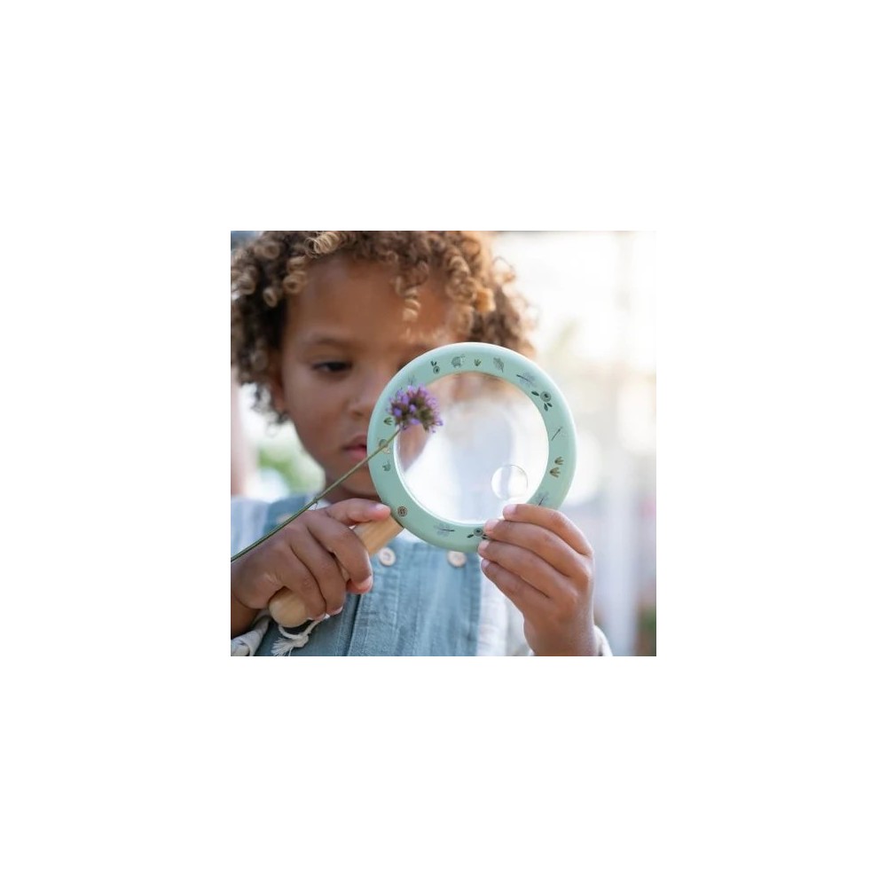 LUPA FOREST FRIENDS FSC 2