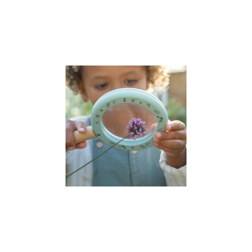 LUPA FOREST FRIENDS FSC