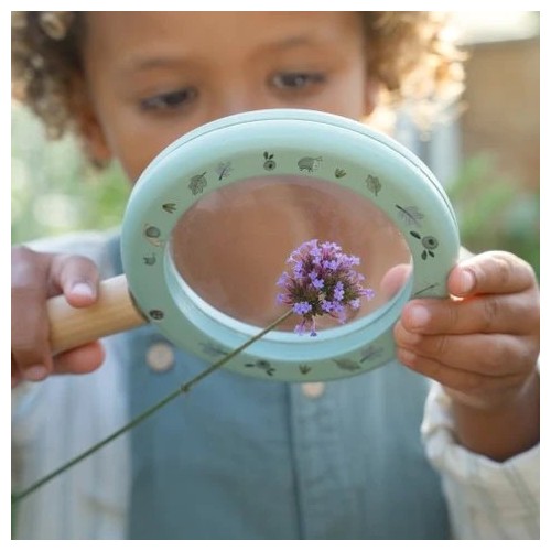 LUPA FOREST FRIENDS FSC