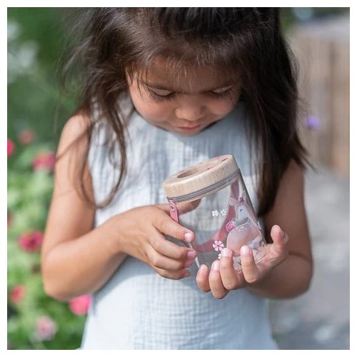 TARRO PARA INSECTO FAIRY GARDEN