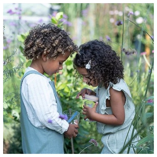 TARRO PARA INSECTOS FOREST GARDEN