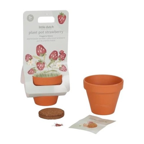 MACETA PLANTA FRESAS