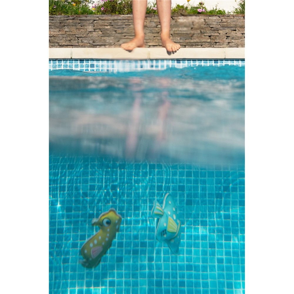 BUCEO ANIMALES: ESTRELLA, CABALLITO DE MAR Y PEZ 2