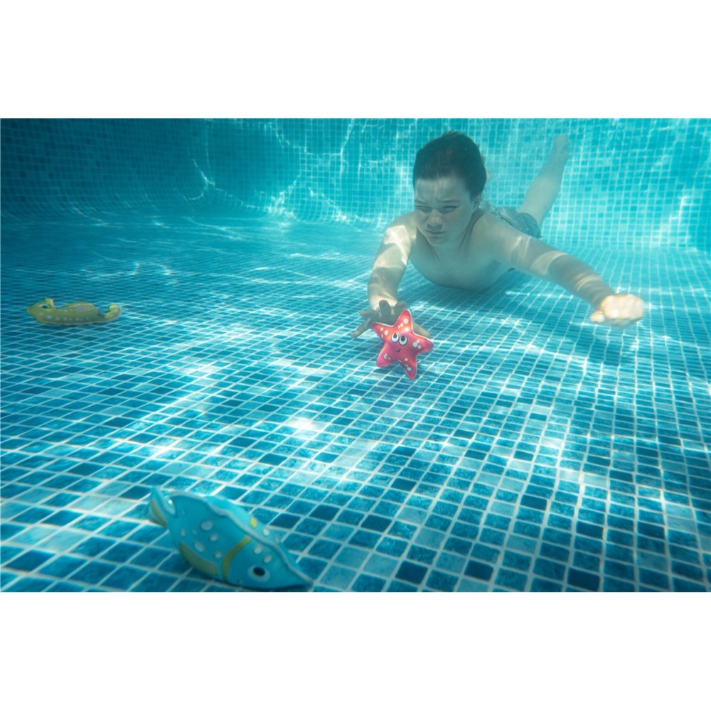 BUCEO ANIMALES: ESTRELLA, CABALLITO DE MAR Y PEZ