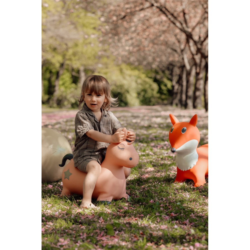 SALTARIN HIPPO UNICORNIO 2
