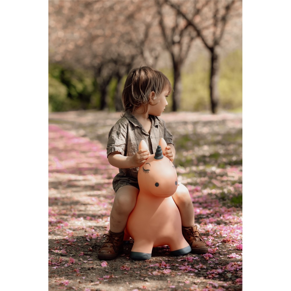 SALTARIN HIPPO UNICORNIO