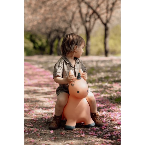 SALTARIN HIPPO UNICORNIO