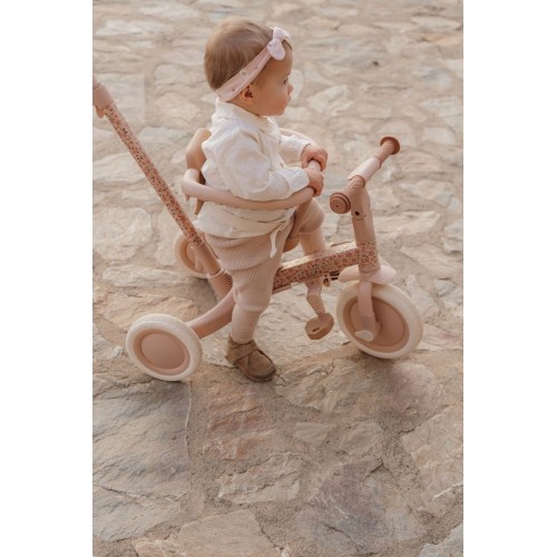 TRICICLO BARRA EVOLUTIVO