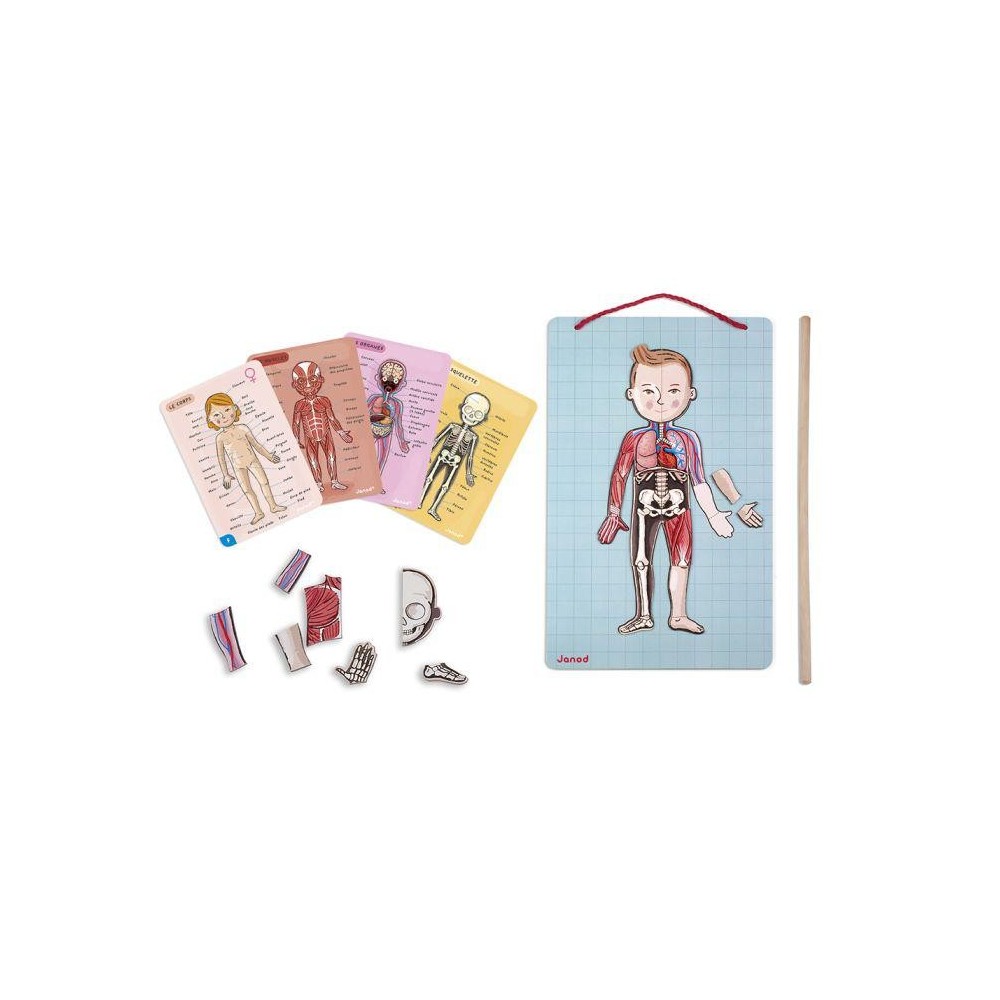 BODYMAGNET EN 12 IDIOMAS