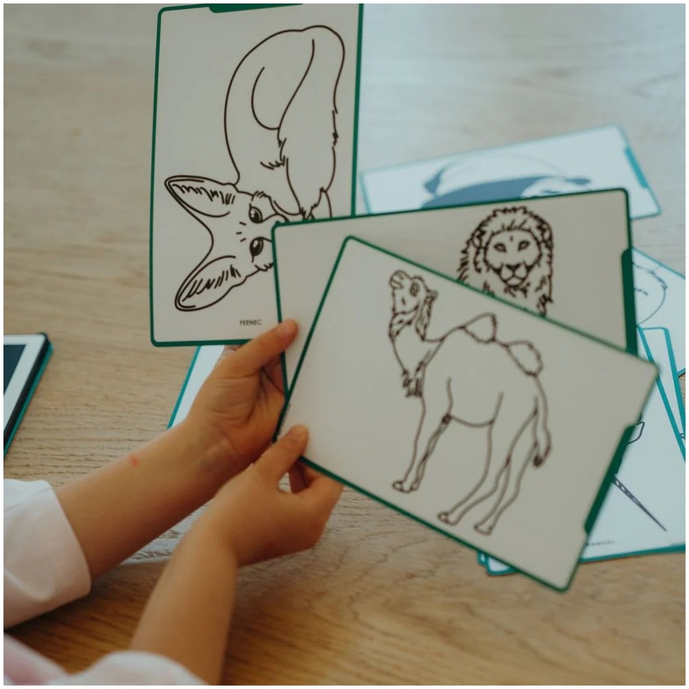 KIDY DRAW MINI MUNDO ANIMALES