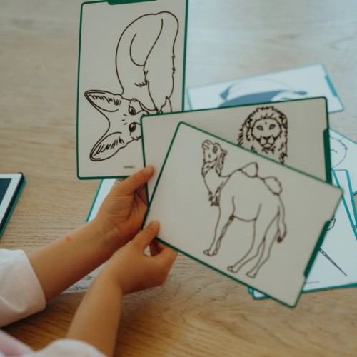 KIDY DRAW MINI MUNDO ANIMALES