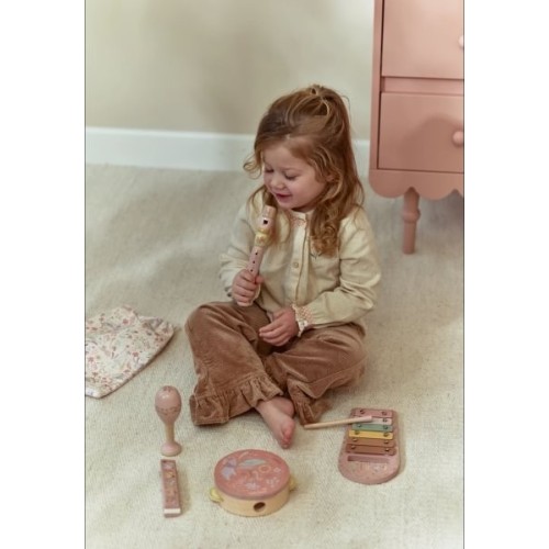 SET MUSICAL ROSA SAFARI FRIEND