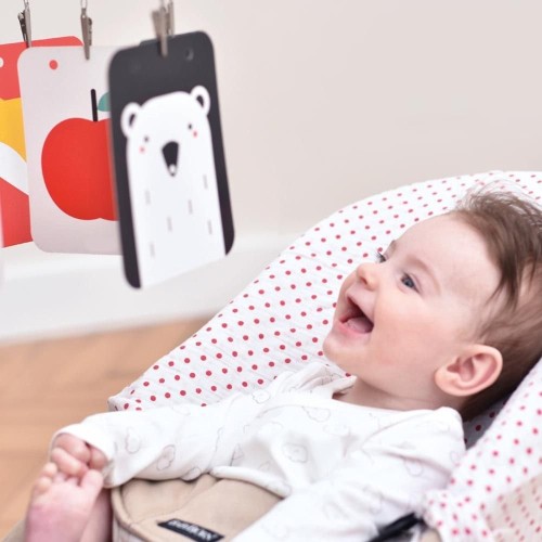 HIGH CONTRAST BABY PACK 6+ UN