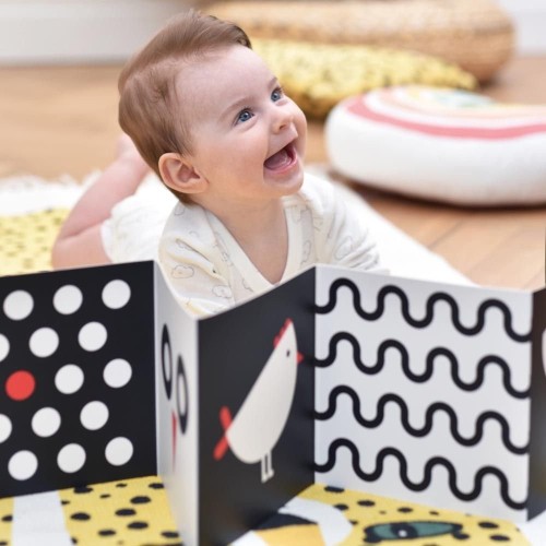 HIGH CONTRAST BABY PACK 6+ UN