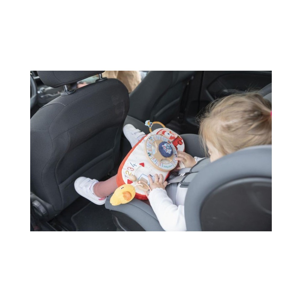 GRANJA PANEL ACTIVIDADES-COCHE