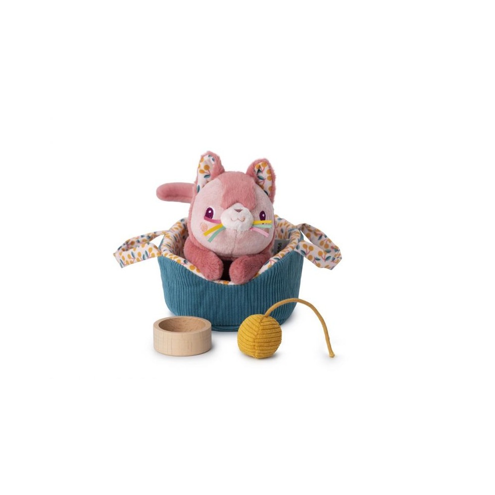 JEANNE EL GATO Y SU CESTA