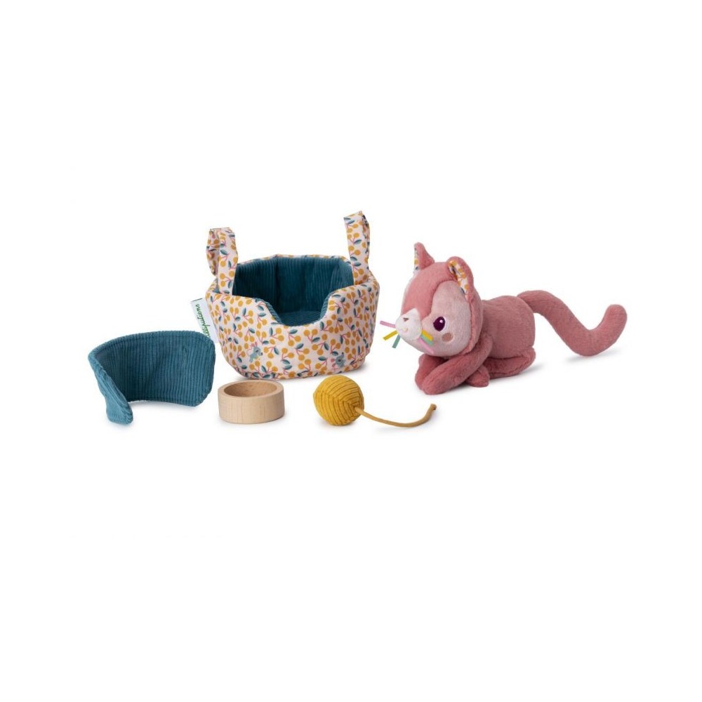 JEANNE EL GATO Y SU CESTA 2