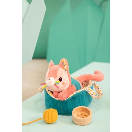 JEANNE EL GATO Y SU CESTA