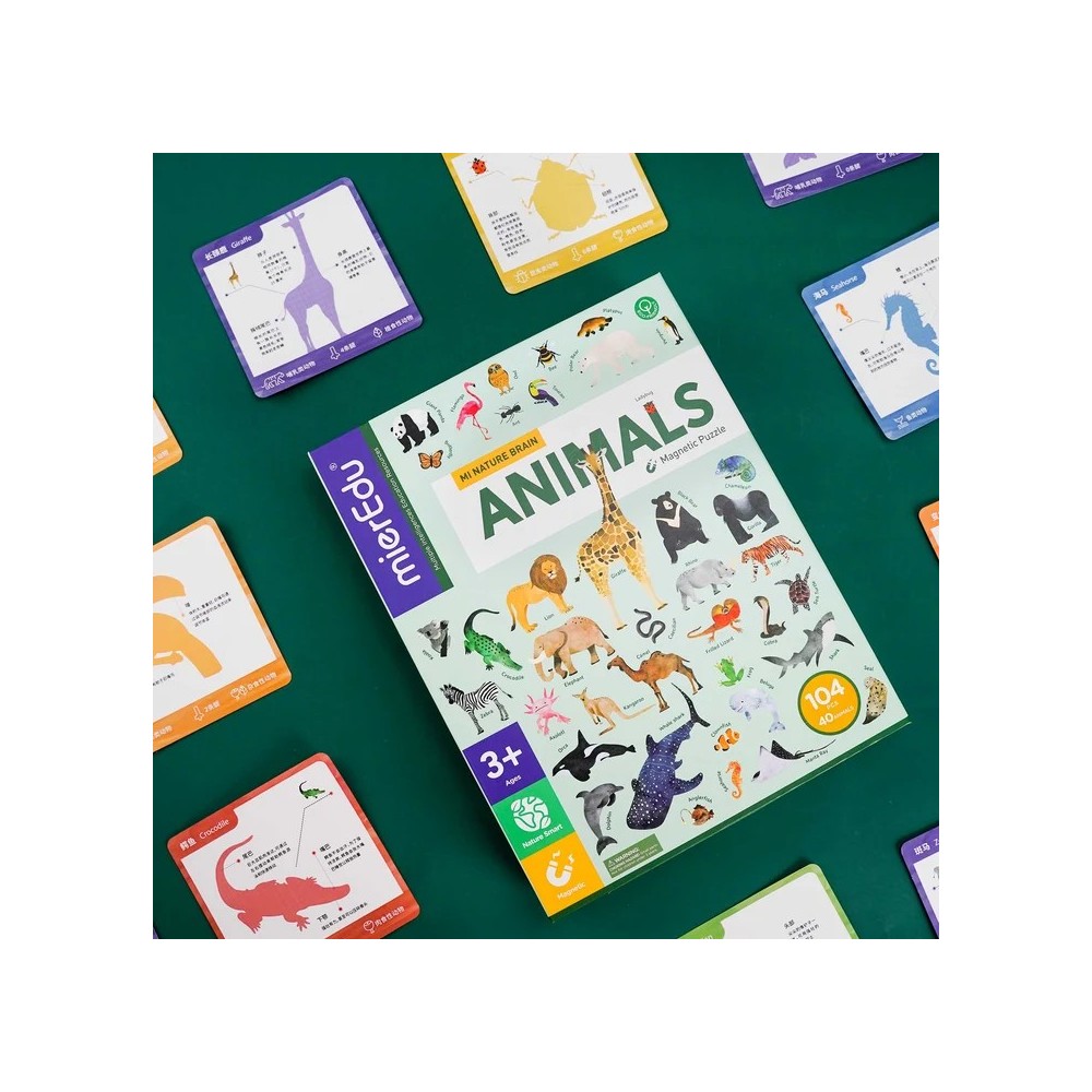 TODO SOBRE ANIMALES MAGNETICO
