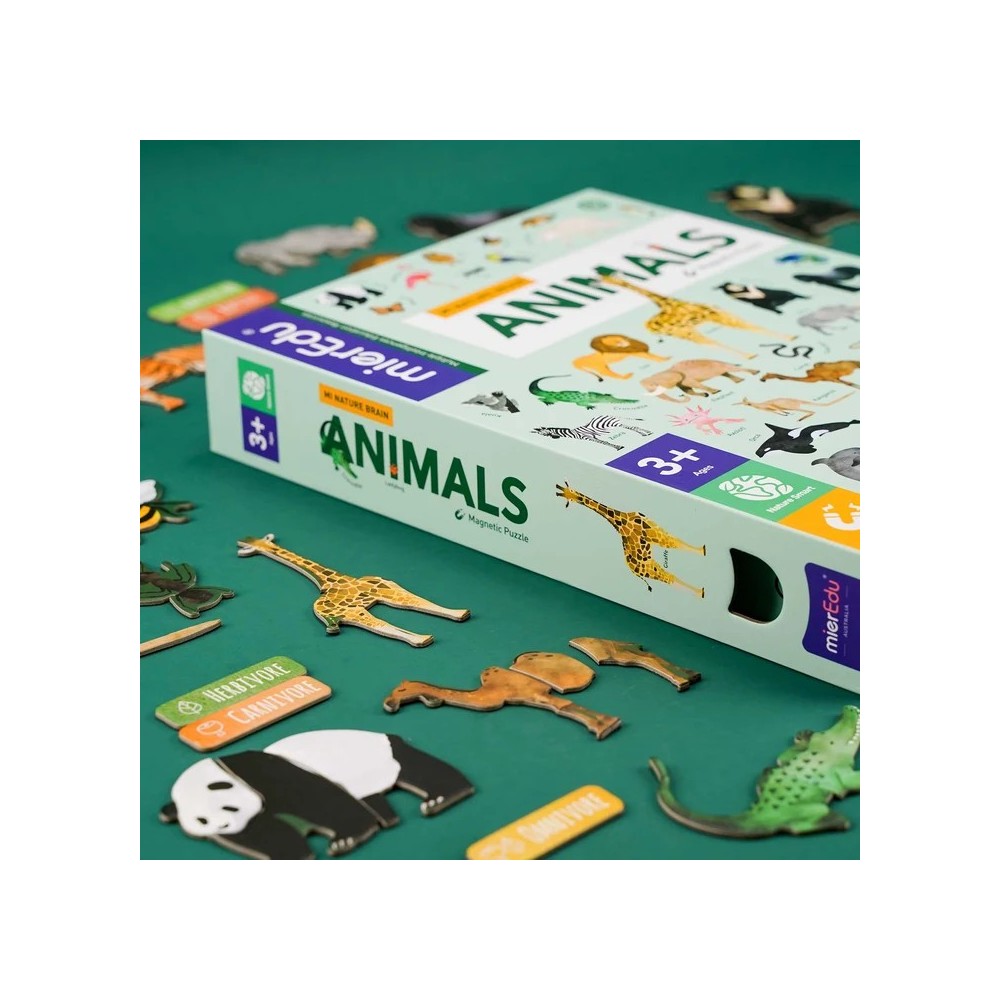 TODO SOBRE ANIMALES MAGNETICO