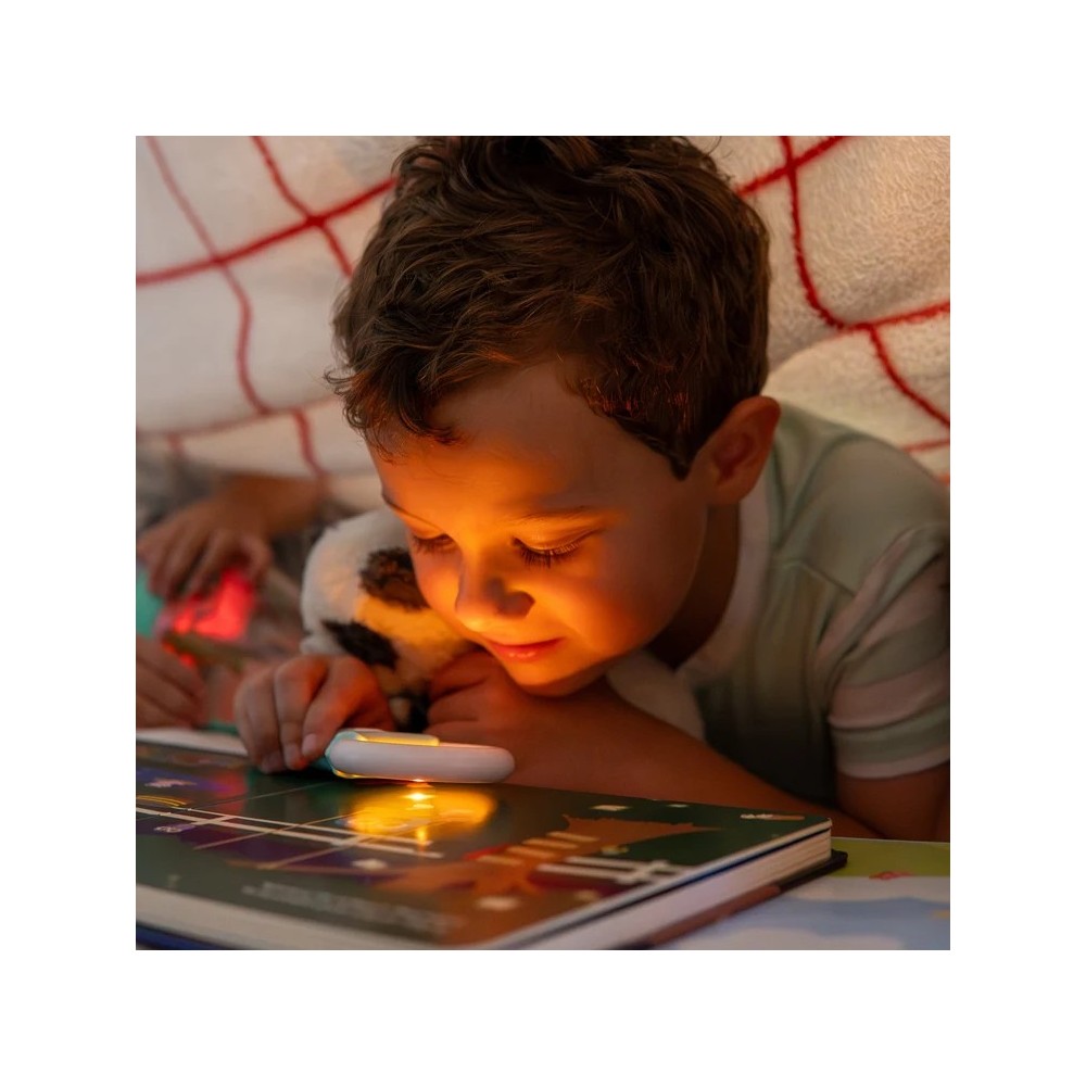 LIBRO AMIGOS PREHISTORICOS
