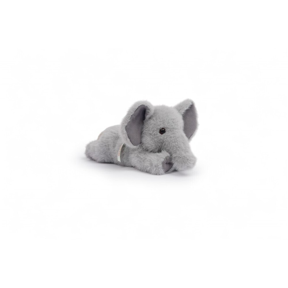 TAI , ELEFANTE