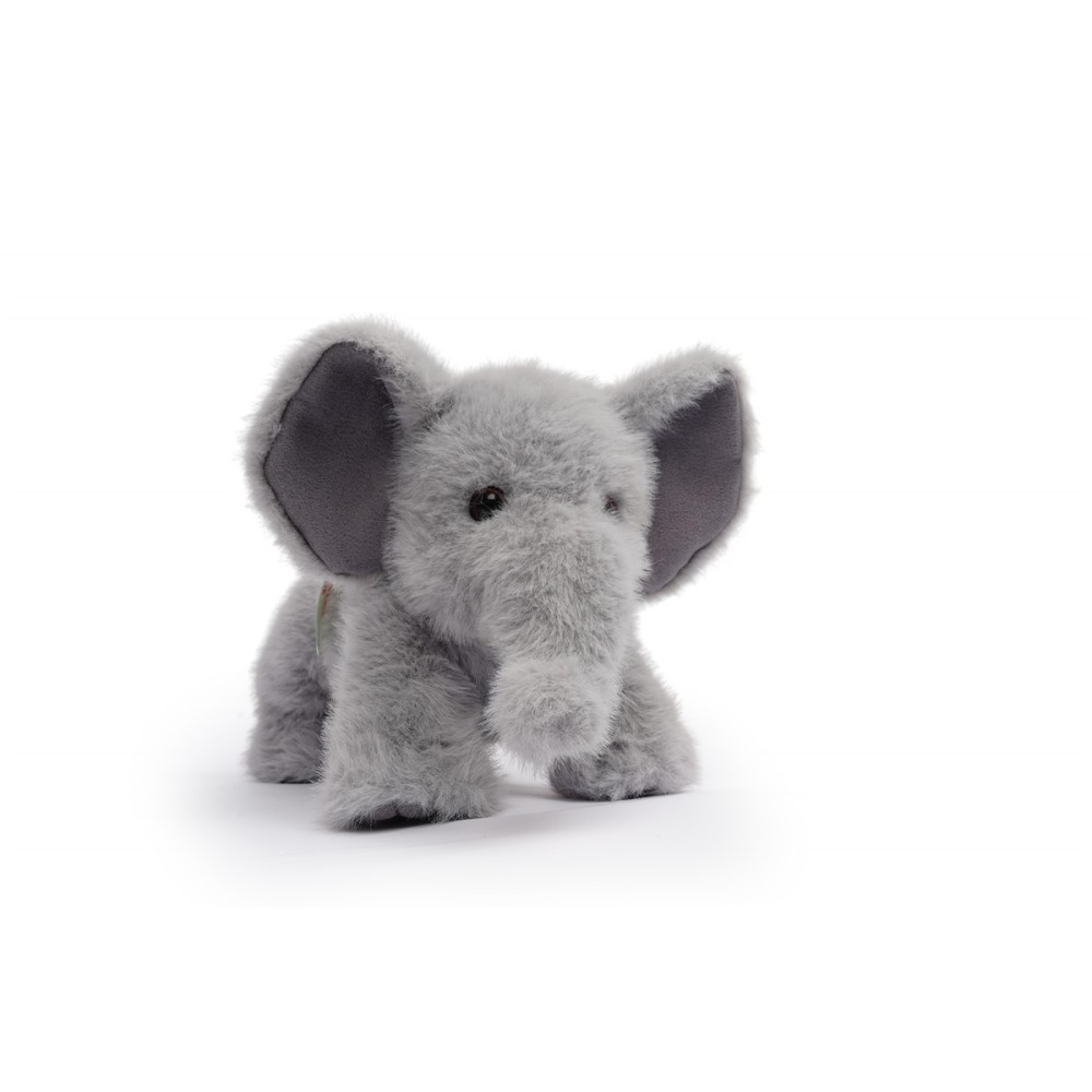 TAI , ELEFANTE