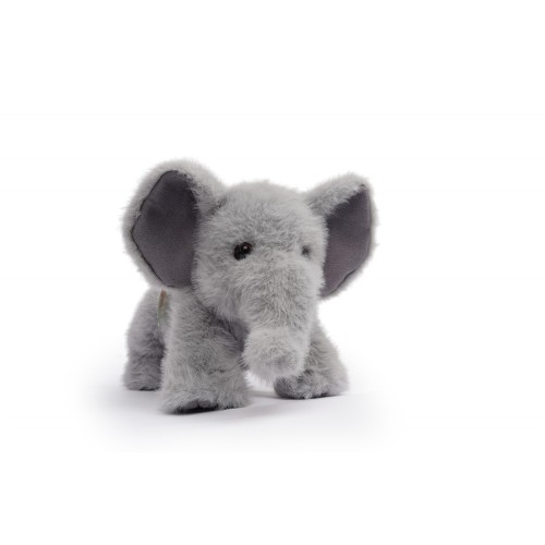 TAI , ELEFANTE