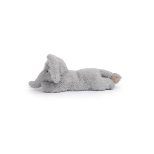 TAI , ELEFANTE