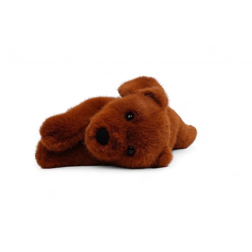 BUDDY- LABRADOR