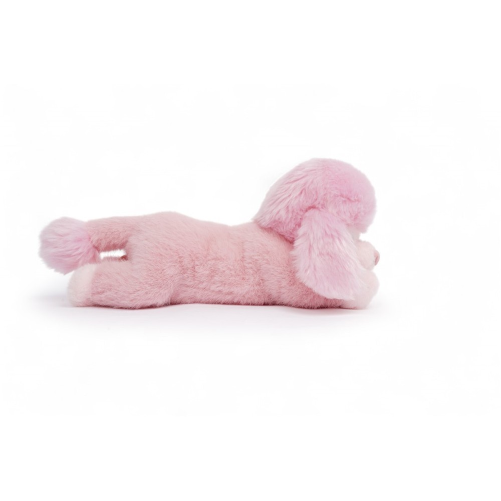 MILLIE.CANICHE