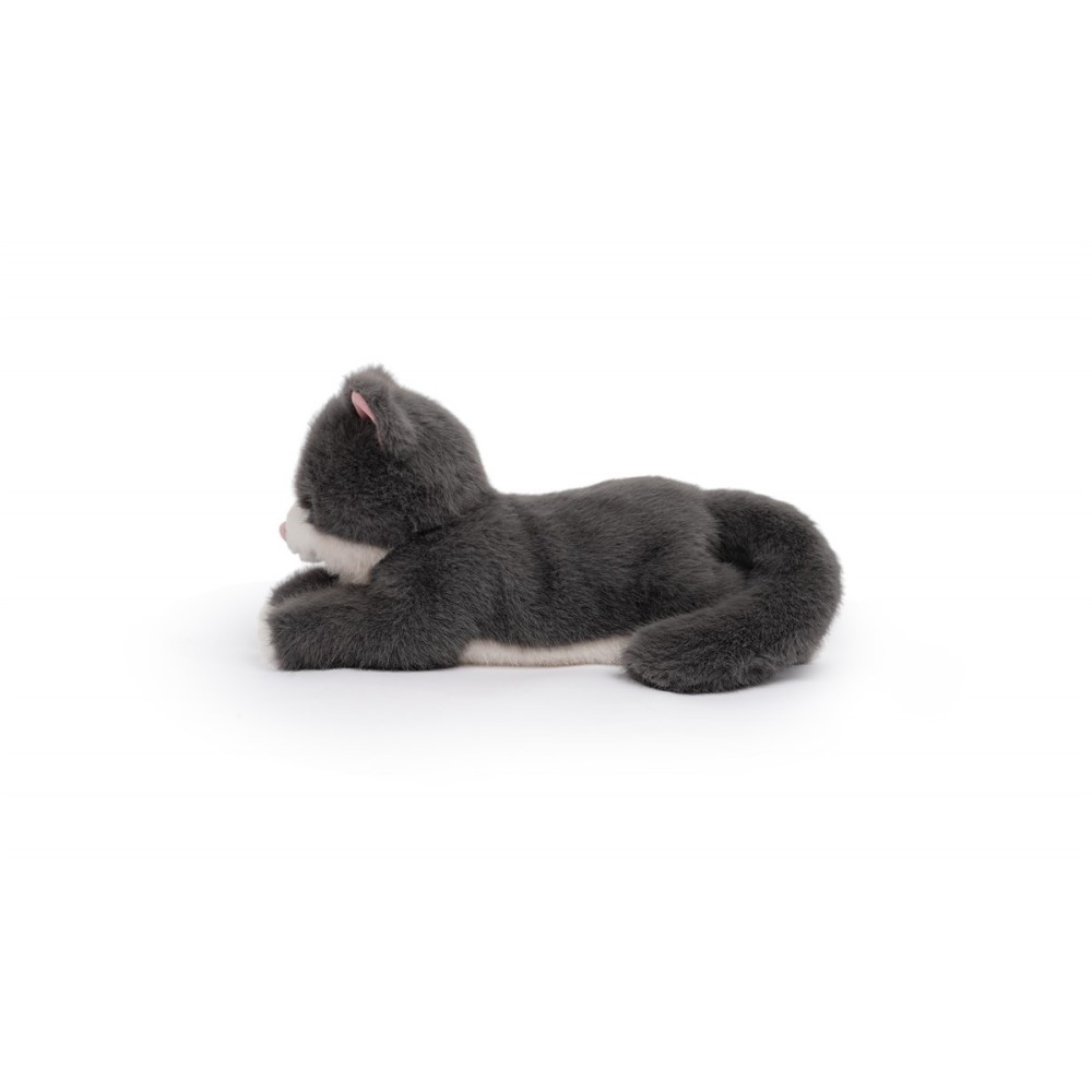 MISTY- GATO GRIS