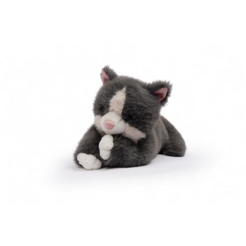 MISTY- GATO GRIS