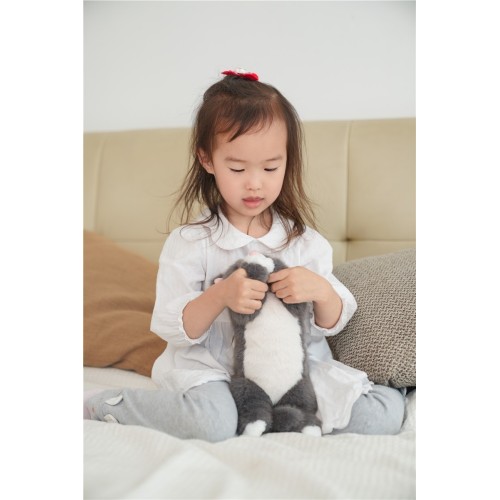 MISTY- GATO GRIS