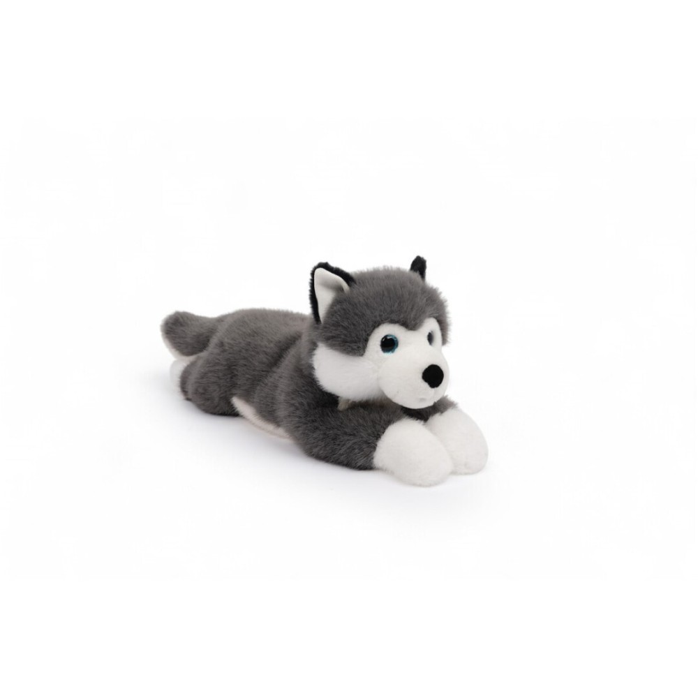 SCOUT - HUSKY GRIS