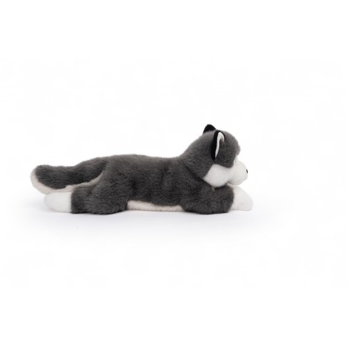 SCOUT - HUSKY GRIS