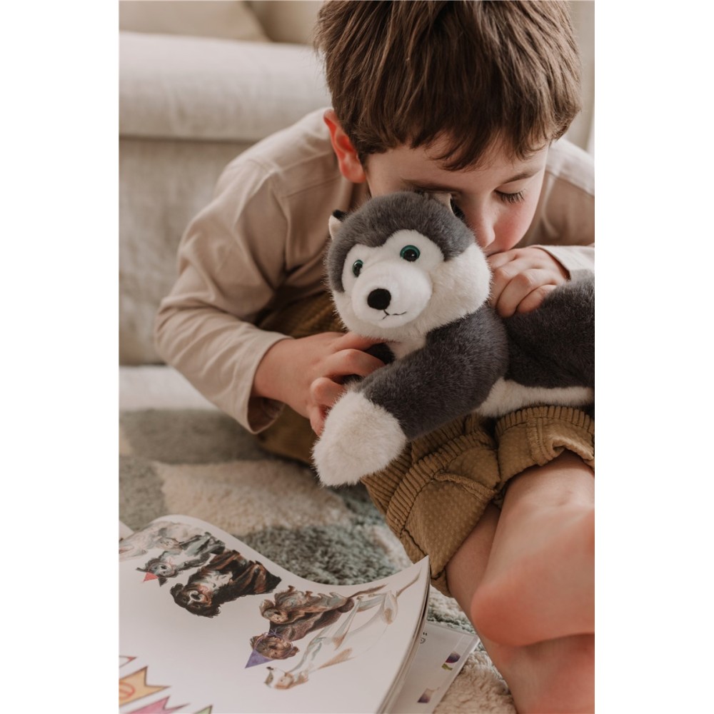 SCOUT - HUSKY GRIS