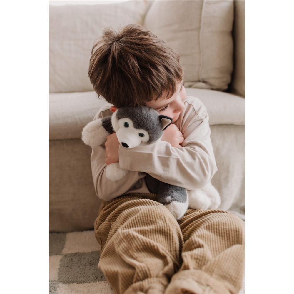 SCOUT - HUSKY GRIS