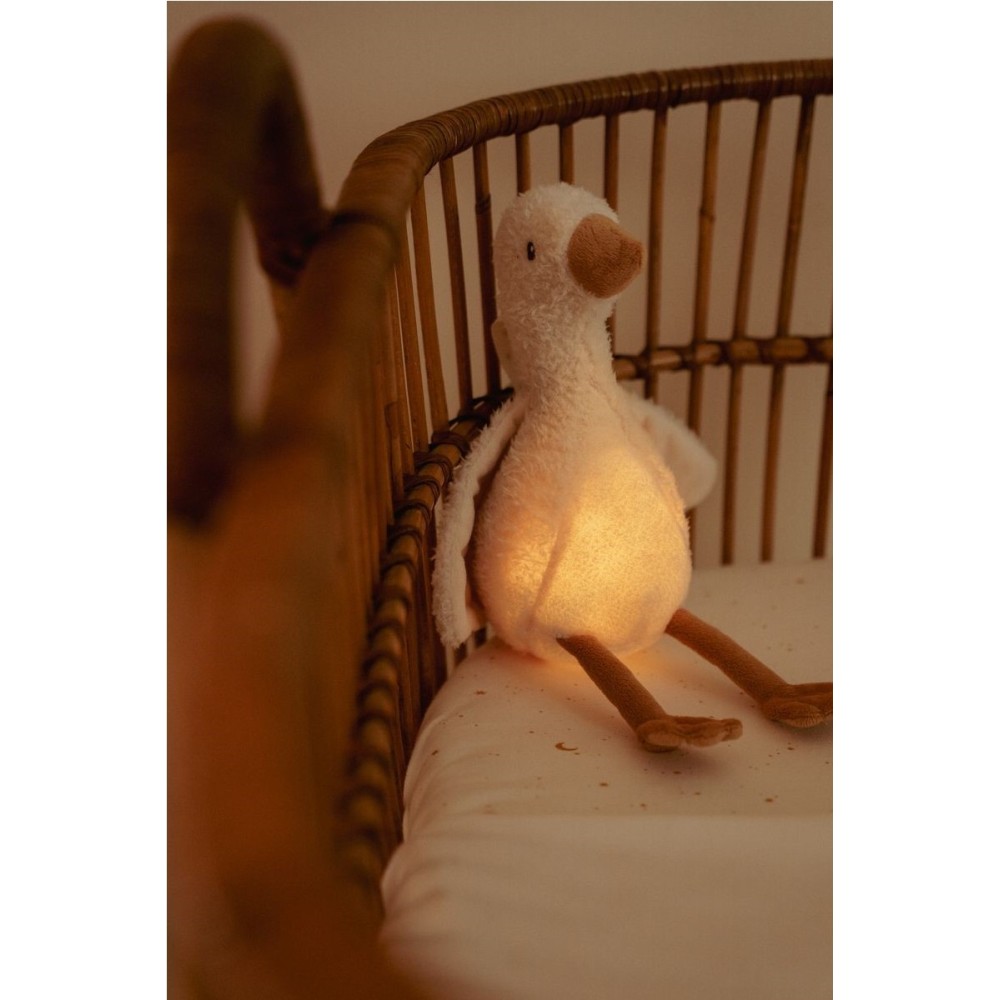 LUZ COMPAÑIA MUSICAL OCA 2