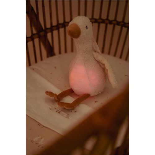 LUZ COMPAÑIA MUSICAL OCA