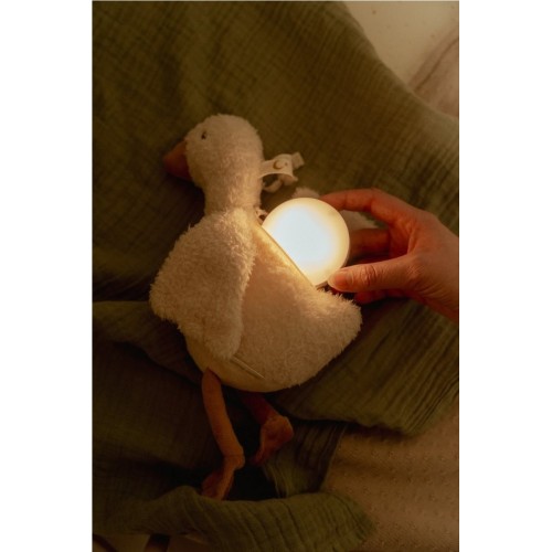 LUZ COMPAÑIA MUSICAL OCA