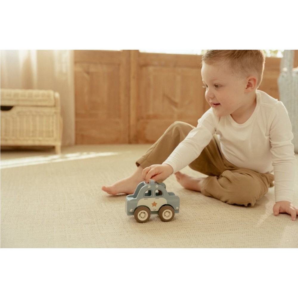 COCHE DE POLICIA FSC