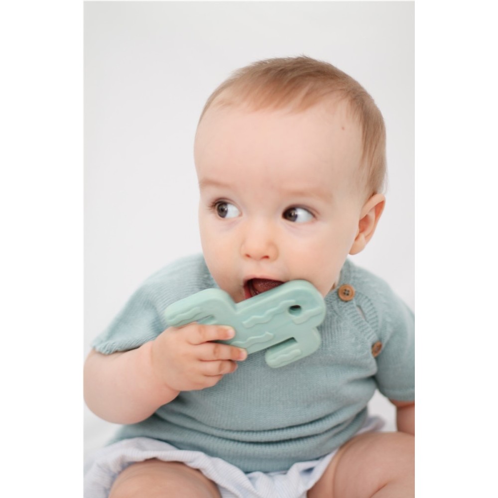 MORDEDOR PITAYA VERDE