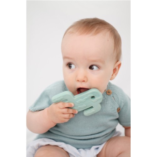 MORDEDOR PITAYA VERDE