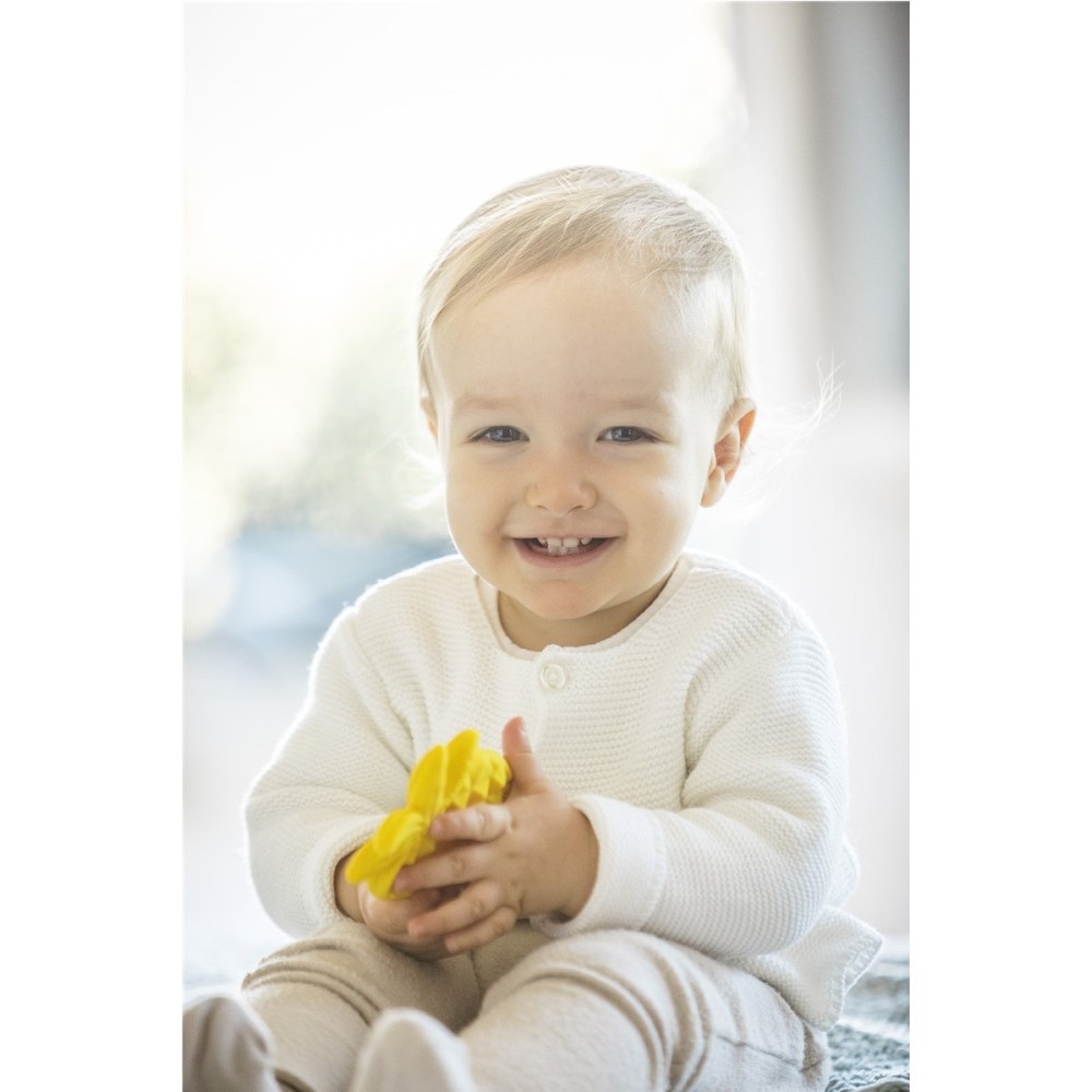 MORDEDOR PANARE AMARILLO 2