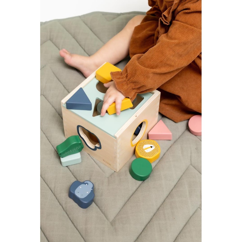 CLASIFICADOR DE FORMAS