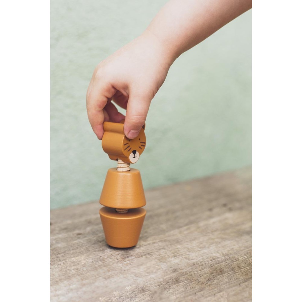 ANIMALES DE TORNILLO