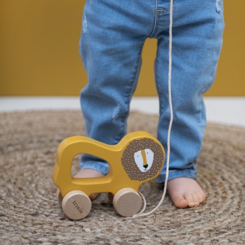 ARRASTRE DE MADERA LION