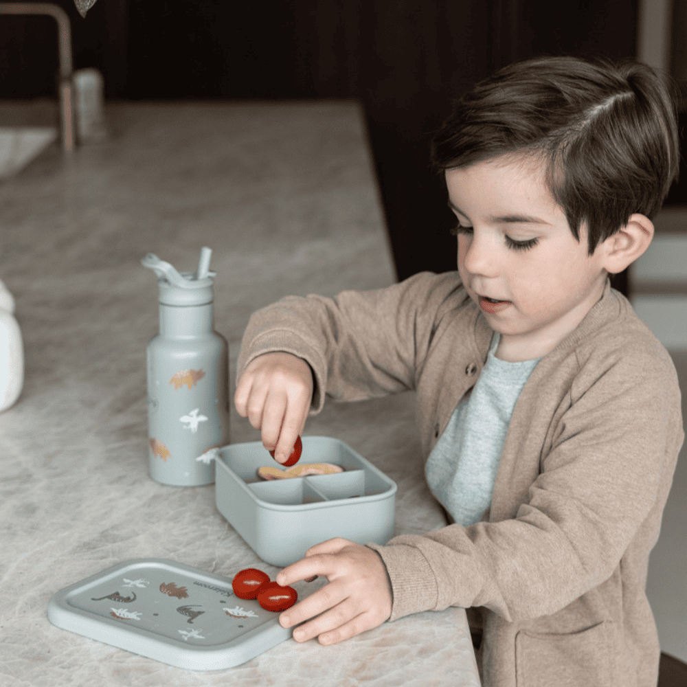 BOTELLA AGUA DE ACERO 350 ML. DINO